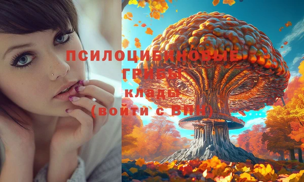 кокаин перу Инта
