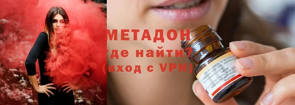 прущие грибы Каменногорск