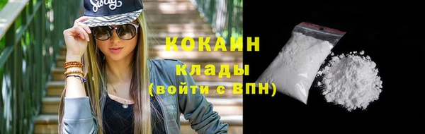 индика Каменск-Шахтинский