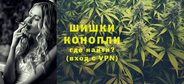 прущие грибы Каменногорск