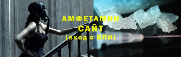 прущие грибы Каменногорск