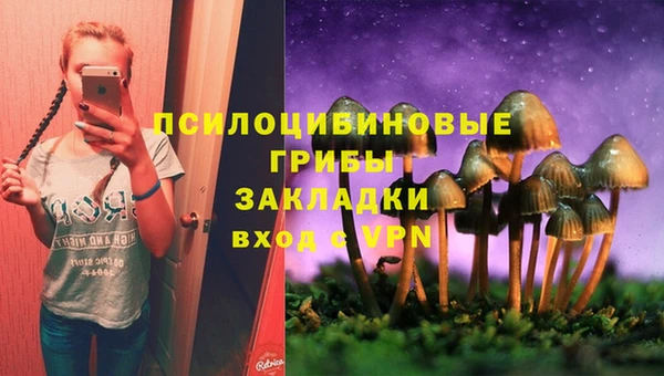 индика Каменск-Шахтинский