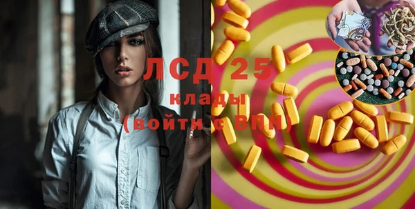 прущие грибы Каменногорск