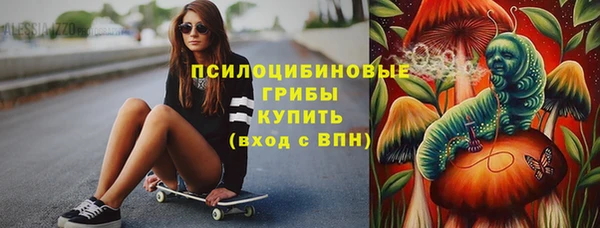 прущие крисы Инсар