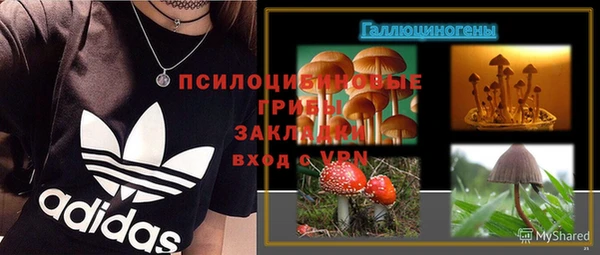 прущие крисы Инсар